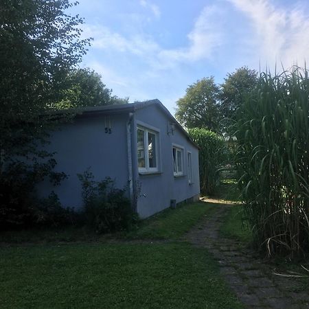 Ferienwohnung Am Strelasund Sundhagen-Niederhof Eksteriør bilde