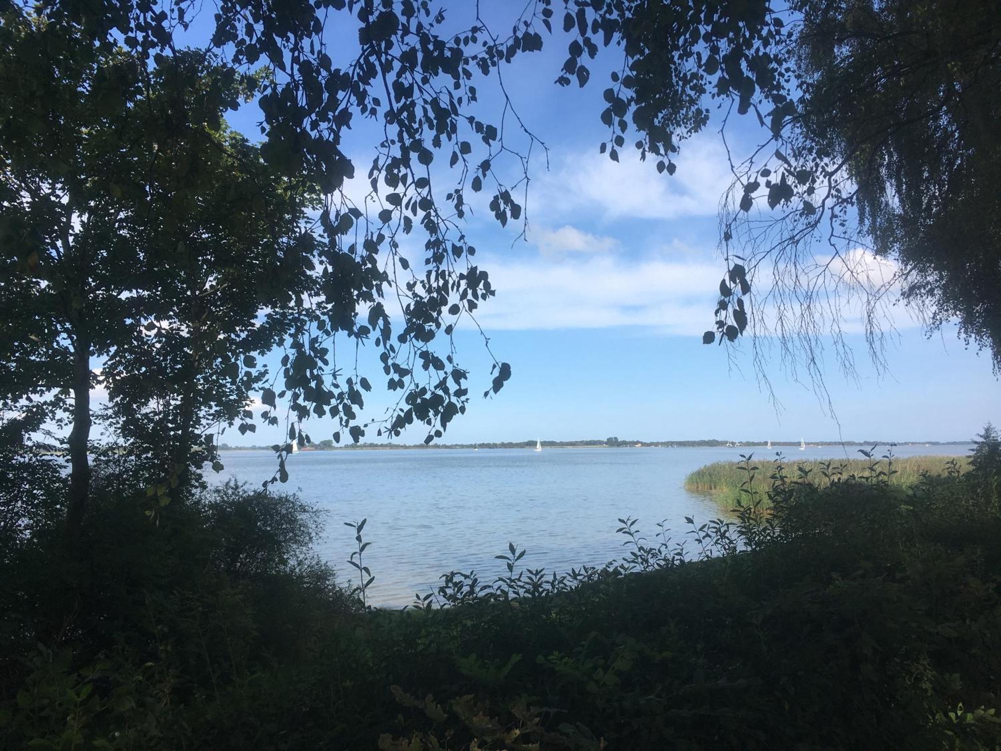 Ferienwohnung Am Strelasund Sundhagen-Niederhof Eksteriør bilde
